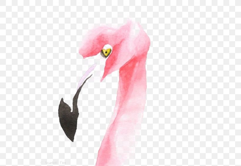 Flamingo Drawing Watercolor Painting Illustration, PNG, 564x564px, Flamingo, Beak, Bird, Drawing, Flamingos Download Free