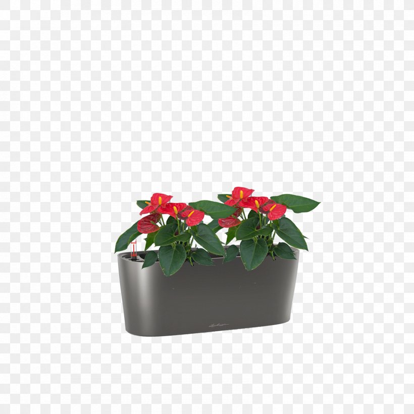 Flowerpot Houseplant Flowering Plant, PNG, 1700x1700px, Flowerpot, Flower, Flowering Plant, Houseplant, Plant Download Free