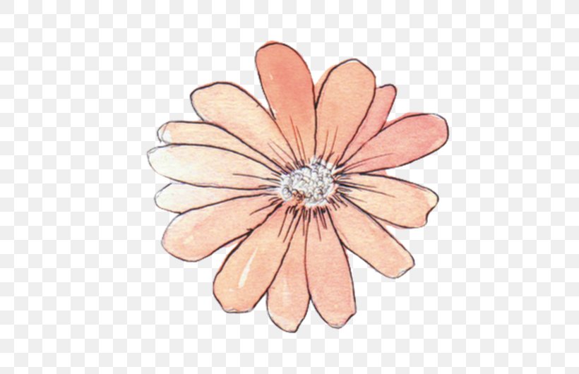 Paper Drawing Flower Watercolor Painting Sticker, PNG, 530x530px, Paper, Art, Bag, Body Jewelry, Business Download Free