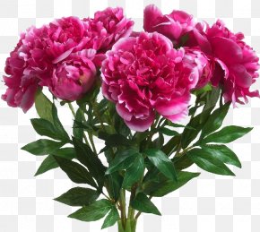Peony - Peony Blingee Birthday PNG