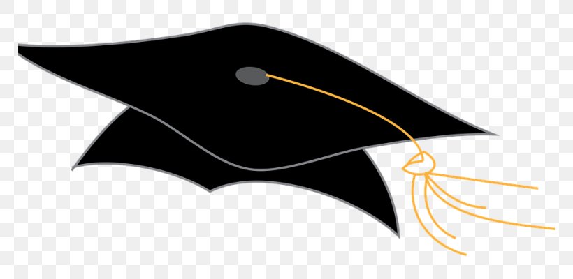 Square Academic Cap Graduation Ceremony Clip Art, PNG, 768x400px, Square Academic Cap, Cap, Diploma, Dropping Out, Graduation Ceremony Download Free