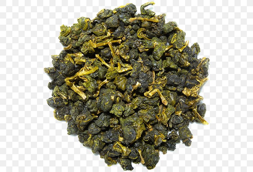 Tieguanyin Oolong Nilgiri Tea Gunpowder Tea, PNG, 548x558px, Tieguanyin, Assam Tea, Biluochun, Ceylan, Ceylon Tea Download Free