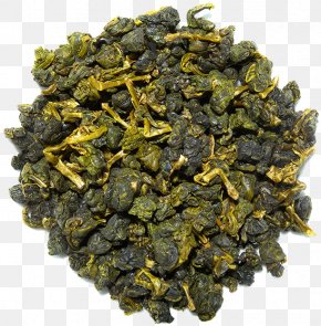 Tea - Tieguanyin Oolong Nilgiri Tea Gunpowder Tea PNG