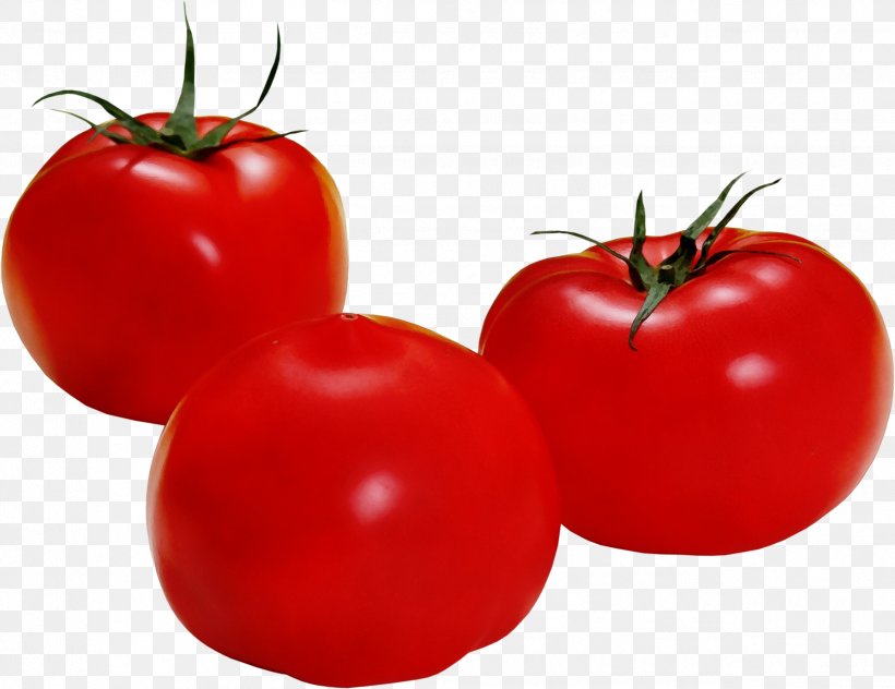 Tomato Cartoon, PNG, 2526x1948px, Watercolor, Bush Tomato, Cherry Tomatoes, Food, Fruit Download Free