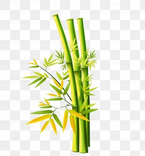 Bamboo Painting Drawing Chinese Painting Png 621x902px Bamboo Art Artwork Bamboe Bamboo Painting Download Free