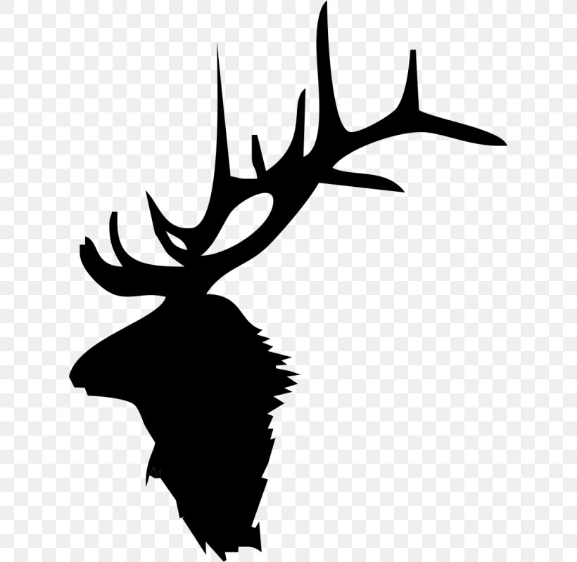 Elk Deer Moose Antler Clip Art, PNG, 623x800px, Elk, Antler, Artwork, Black And White, Branch Download Free