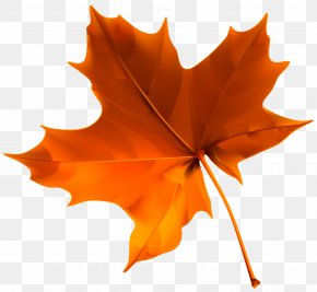 Autumn Leaves - Leaf Autumn Clip Art PNG