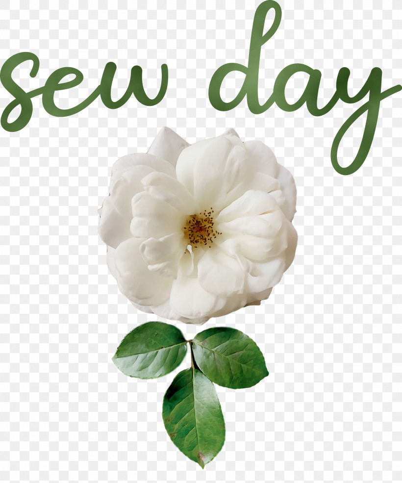 Rose, PNG, 2495x3000px, Watercolor, Cabbage Rose, Cut Flowers, Flower, Meter Download Free