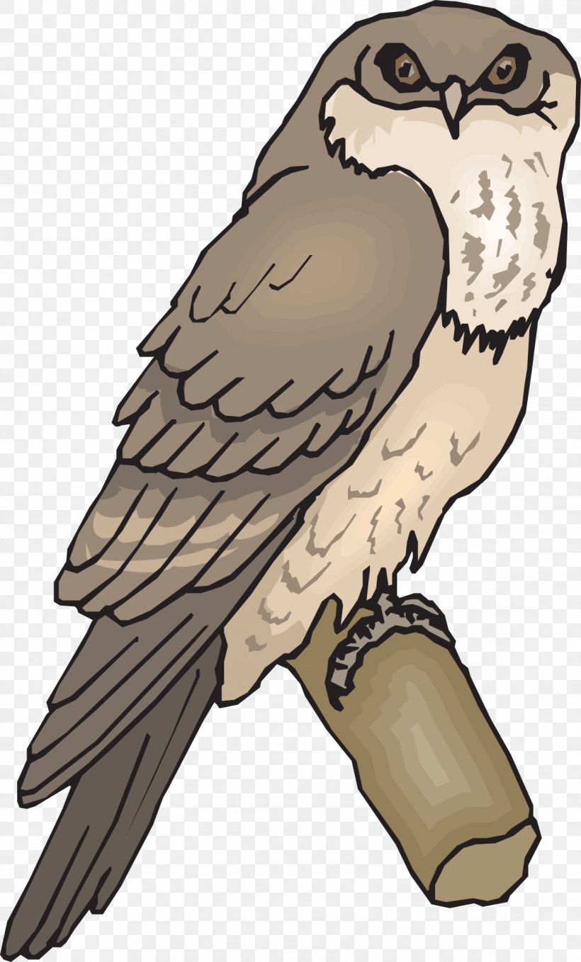 Bird Owl Tawny Frogmouth Clip Art, PNG, 1159x1920px, Bird, Animation, Beak, Bird Of Prey, Eagle Download Free