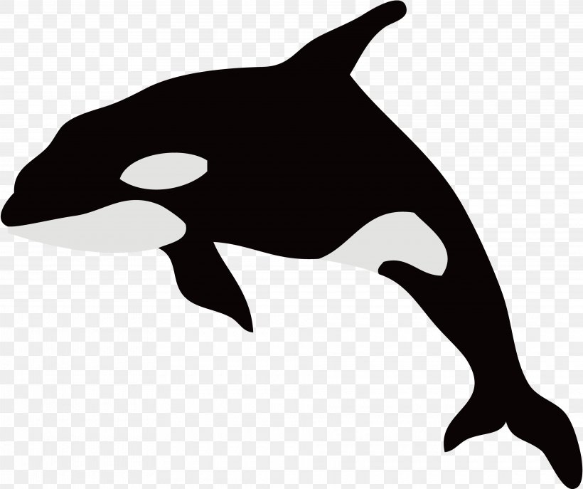 Dolphin Killer Whale Illustration Whales Silhouette, PNG, 3840x3218px, Dolphin, Art, Bottlenose Dolphin, Cetacea, Common Bottlenose Dolphin Download Free