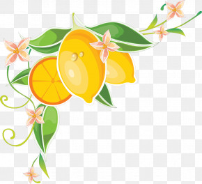 Floral Design PNG