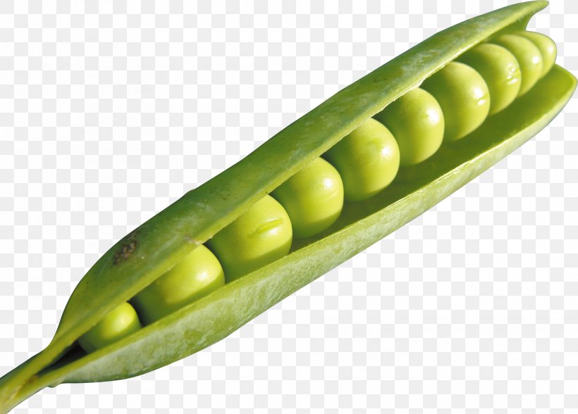 Snow Pea Snap Pea Vegetarian Cuisine Vegetable Protein, PNG, 1875x1345px, Snow Pea, Bean, Commodity, Corn On The Cob, Food Download Free