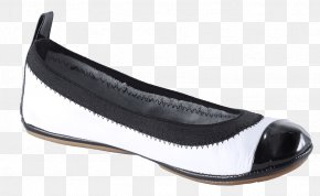 Ballet - Ballet Flat Shoe PNG