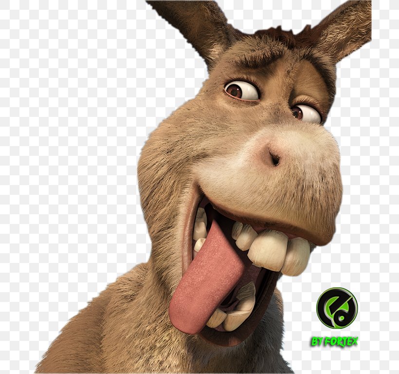 Donkey Princess Fiona Shrek The Musical Puss In Boots Shrek Film