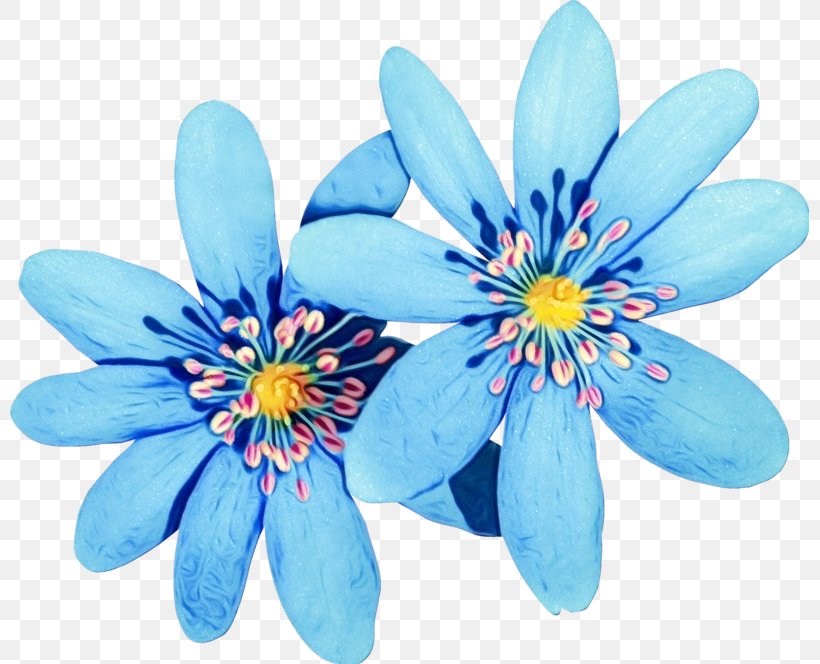 Flower Petal Blue Plant Flowering Plant, PNG, 799x664px, Watercolor, Blue, Flower, Flowering Plant, Ixia Download Free