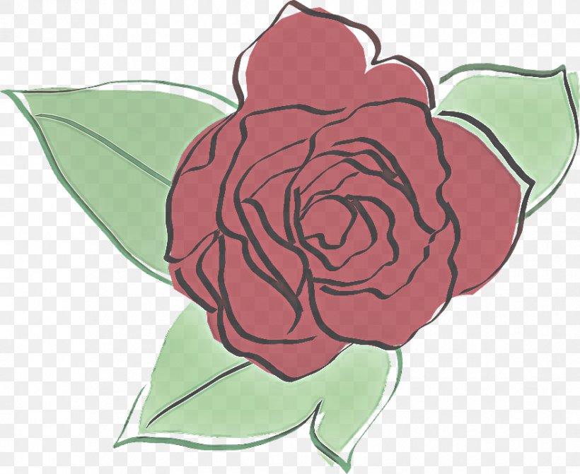 Garden Roses, PNG, 879x720px, Garden Roses, Flower, Hybrid Tea Rose, Petal, Pink Download Free
