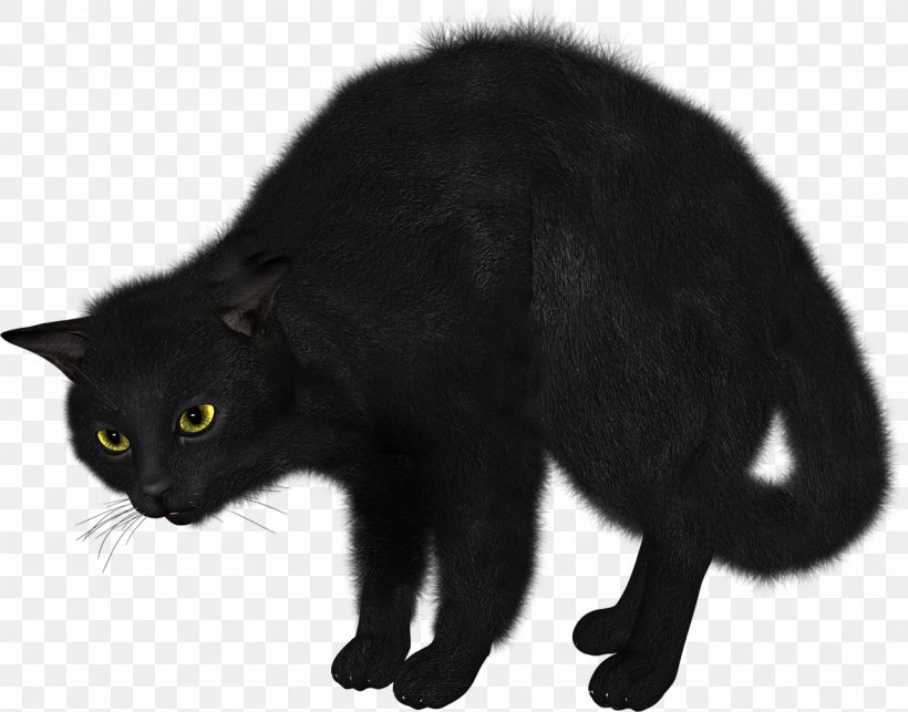Manx Cat Bombay Cat Nebelung Korat European Shorthair, PNG, 1280x1004px, Manx Cat, Animal, Black, Black And White, Black Cat Download Free