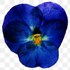 Flower - Pansy Pressed Flower Craft Clip Art PNG