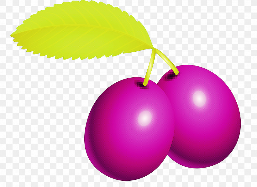 Prune Fruit, PNG, 3000x2185px, Prune, Balloon, Fruit, Leaf, Magenta Download Free