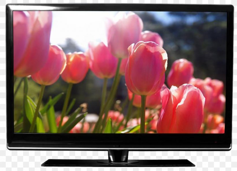 Color Television High-definition Television HDMI, PNG, 1000x722px, 4k Resolution, Television, Color Television, Computer Monitor, Computer Monitors Download Free