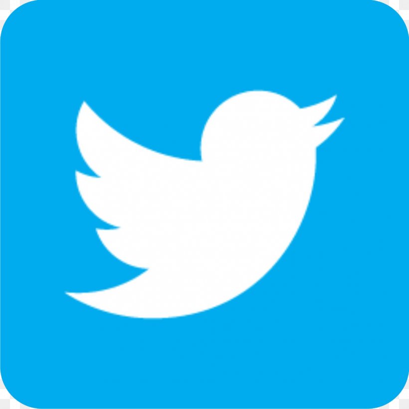 Logo Social Media, PNG, 1082x1082px, Logo, Area, Azure, Beak, Bird Download Free