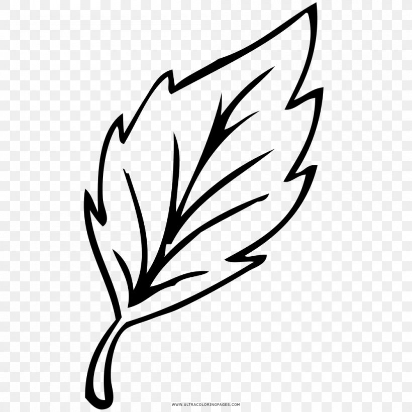 Drawing Coloring Book Black And White Leaf Line Art, PNG, 1000x1000px, Drawing, Artwork, Black And White, Branch, Chalk Download Free