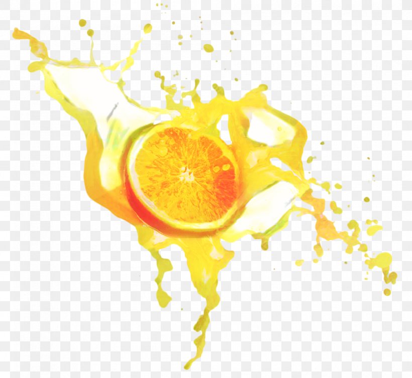 Fresh Juice, PNG, 1004x923px, Juice, Apple Juice, Citrus, Drink, Fruit Download Free
