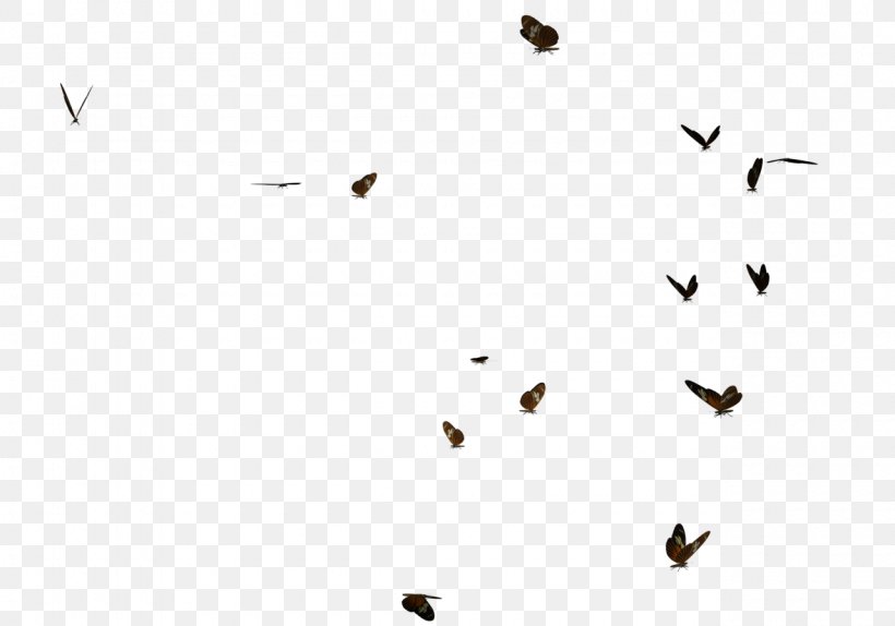 Monarch Butterfly Swarm Behaviour Bat, PNG, 1280x896px, Butterfly, Animal Migration, Bat, Bird, Bird Migration Download Free