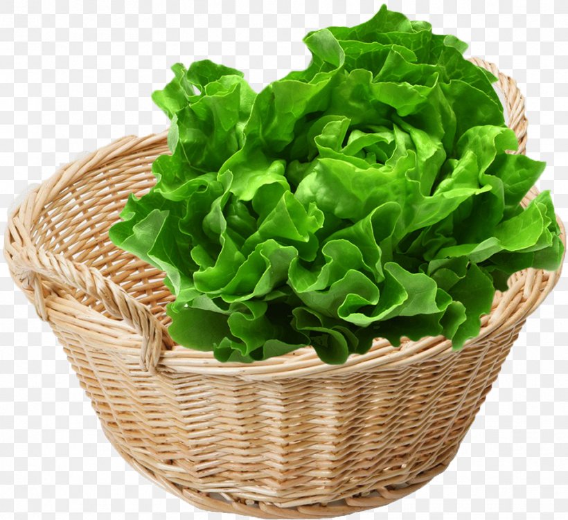Romaine Lettuce Leaf Vegetable Organic Food Spring Greens, PNG, 964x884px, Romaine Lettuce, Butterhead Lettuce, Cruciferous Vegetables, Eating, Flowerpot Download Free