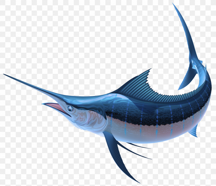 Shark, PNG, 3000x2580px, Swordfish, Atlantic Blue Marlin, Bonyfish, Cartilaginous Fish, Fin Download Free
