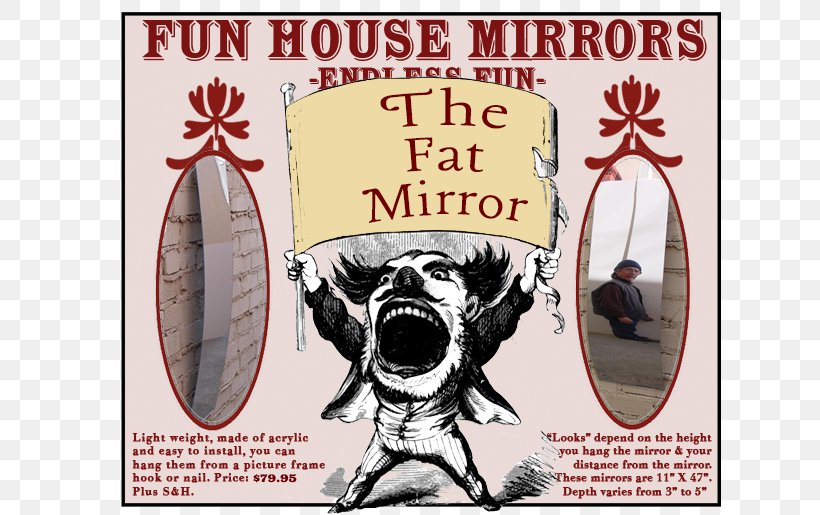 Distorting Mirror House Of Mirrors Mirror Image Konvexspiegel, PNG, 800x515px, Watercolor, Cartoon, Flower, Frame, Heart Download Free