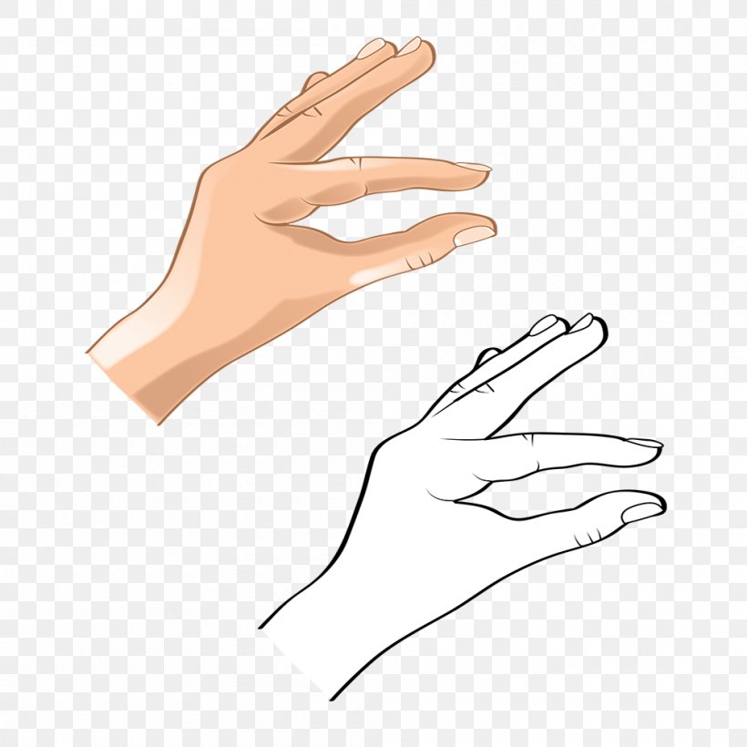 Hand Model Finger Thumb Arm, PNG, 1000x1000px, Hand Model, Arm, Finger, Hand, Neck Download Free