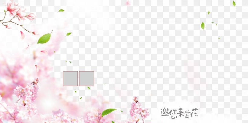 Pink Petal Flower, PNG, 7087x3543px, Pink, Advertising, Floral Design, Flower, Peach Download Free