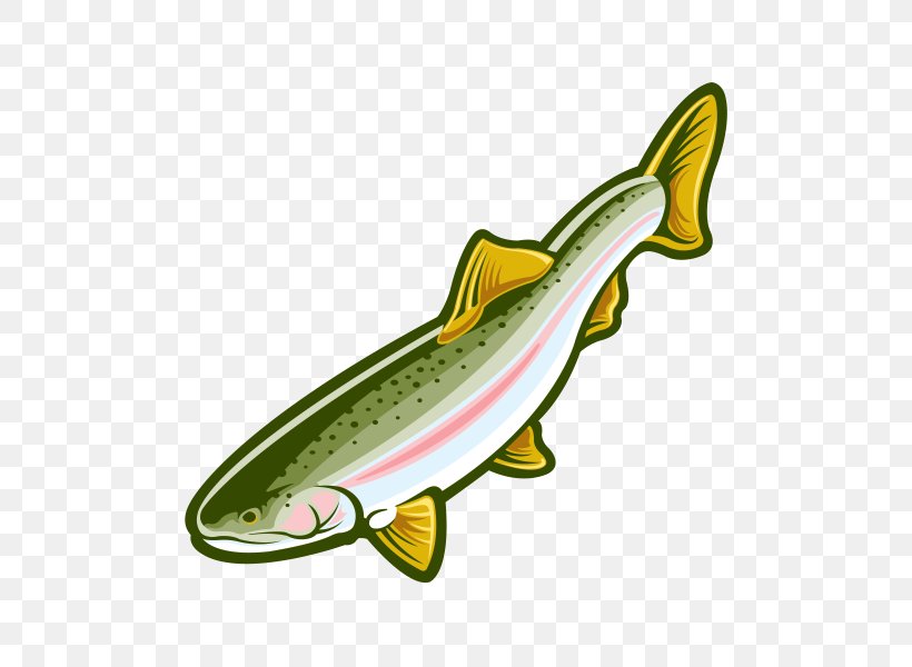 Salmon Rainbow Trout Fish, PNG, 600x600px, Salmon, Aquatic Animal, Bony Fish, Fauna, Fin Download Free