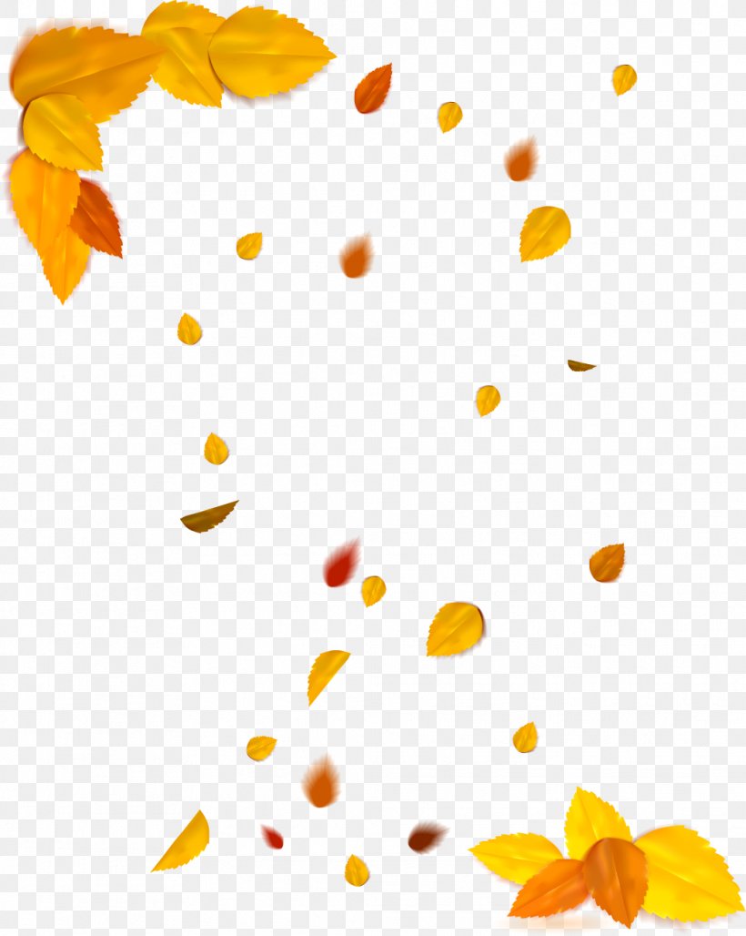 Vector Graphics Autumn Leaves Image, PNG, 1039x1303px, Autumn, Autumn Leaf Color, Autumn Leaves, Deciduous, Drawing Download Free