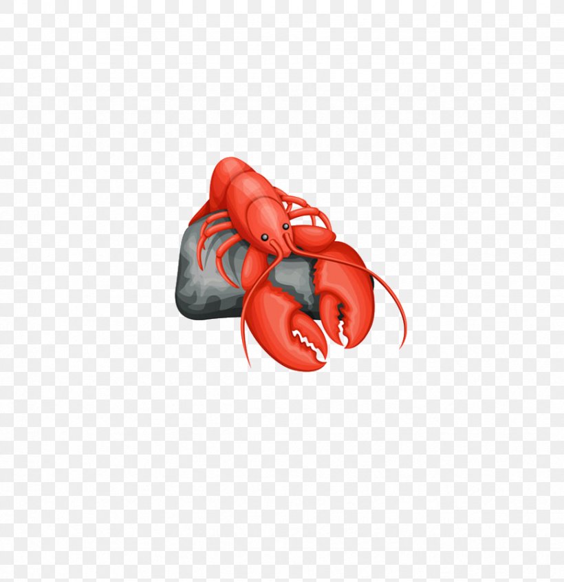 Aquatic Animal Idea Clip Art, PNG, 869x896px, Animal, Aquatic Animal, Boxing Glove, Crayfish, Fish Download Free