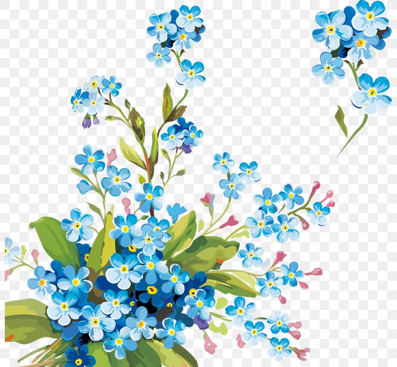 Download Art, PNG, 800x758px, Art, Blossom, Blue, Borage Family, Branch Download Free