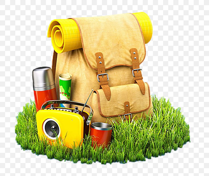 Backpack Travel Suitcase Stock Photography, PNG, 780x691px, Backpack, Adventure Travel, Bag, Camping, Grass Download Free