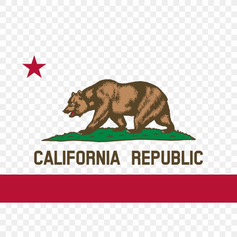 California Republic Flag Of California California Grizzly Bear, PNG, 1200x1200px, California, Alaska Peninsula Brown Bear, California Grizzly Bear, California Republic, Carnivoran Download Free