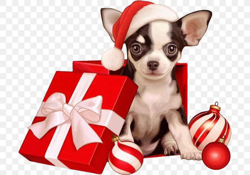 Chihuahua Puppy Pug Dog Breed Companion Dog, PNG, 700x575px, Chihuahua, Breed, Carnivoran, Christmas, Christmas Ornament Download Free