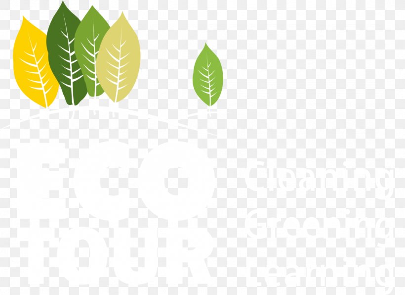 Desktop Wallpaper, PNG, 1085x789px, Leaf, Computer, Fruit, Plant Download Free
