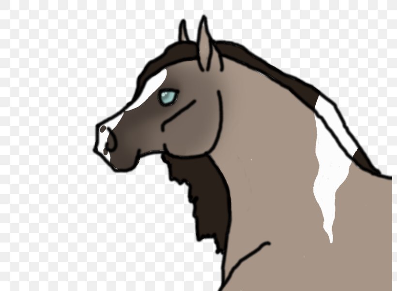 Mane Stallion Mustang Bridle Colt, PNG, 800x600px, Mane, Bridle, Canidae, Carnivoran, Cartoon Download Free