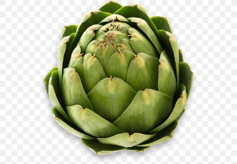 Potato Cartoon, PNG, 551x568px, Artichoke, Baked Potato, Baking, Cooking, Cynara Download Free