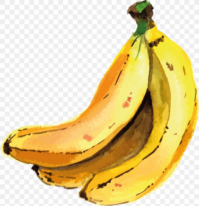 Saba Banana Cooking Banana Clip Art, PNG, 8657x8971px, Saba Banana, Apple, Banana, Banana Family, Commodity Download Free