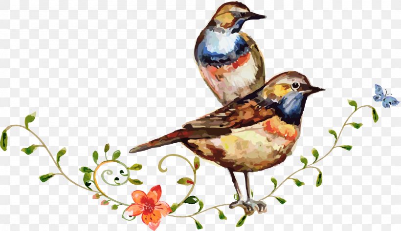 Bird Watercolor: Flowers Watercolour Flowers, PNG, 2000x1158px, Bird, Beak, Drawing, Fauna, Finch Download Free