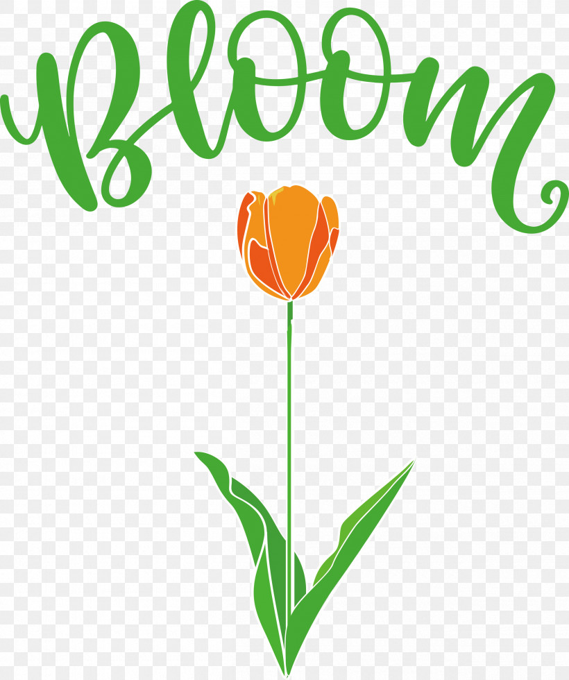 Bloom Spring Flower, PNG, 2510x3000px, Bloom, Cut Flowers, Flower, Leaf, Location Download Free
