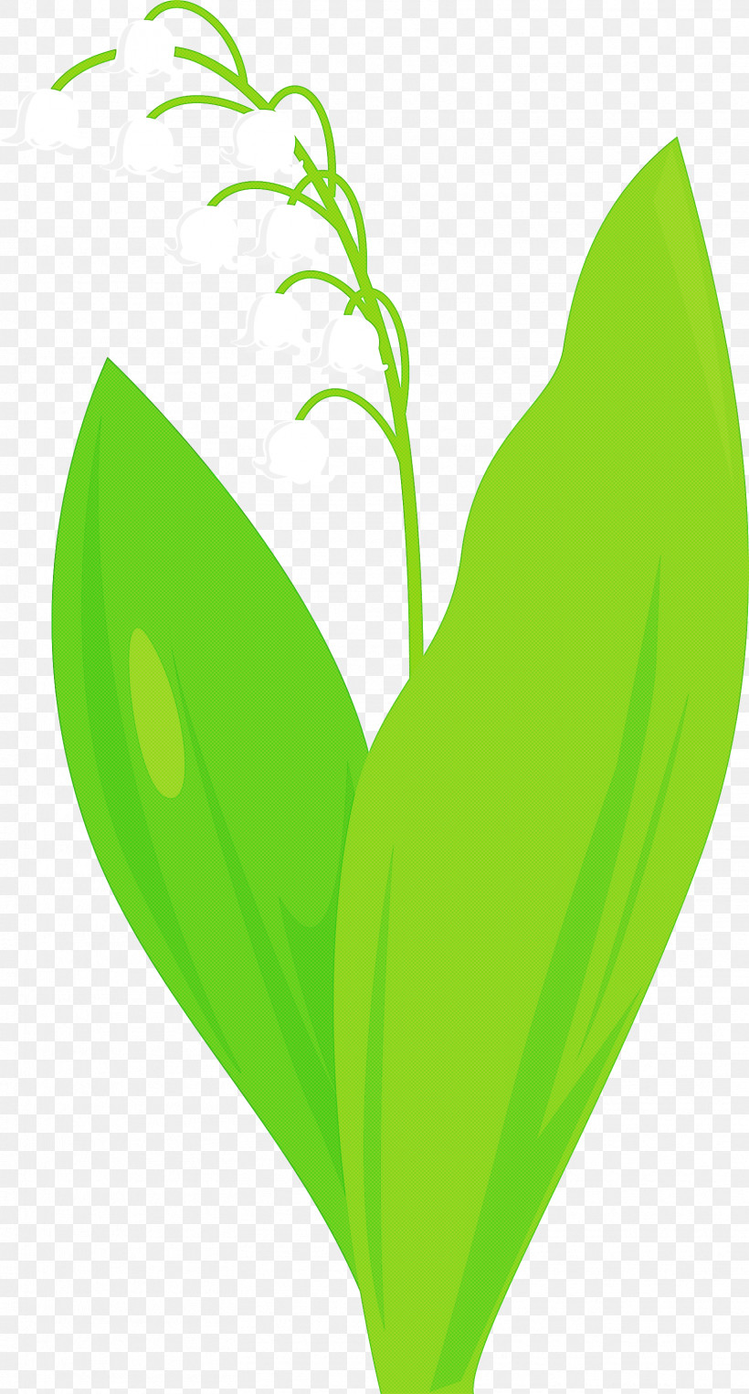 Lily Bell Flower, PNG, 1612x3000px, Lily Bell, Anthurium, Flower, Green, Heart Download Free