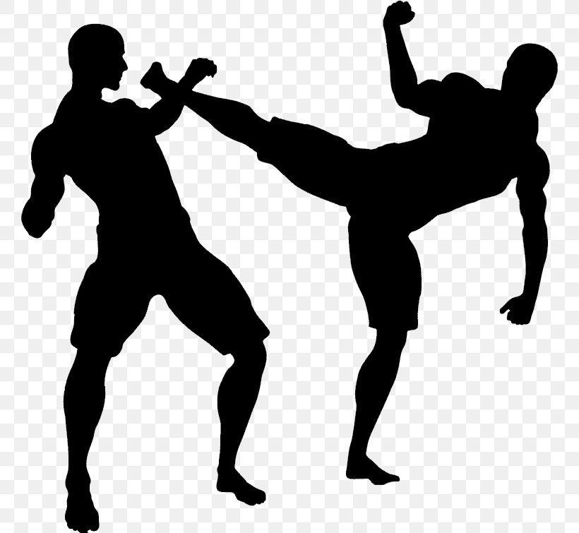 Mixed Martial Arts Karate Self-defense Kick, PNG, 760x755px, Martial Arts, Aikido, Black And White, Chinese Martial Arts, Combat Download Free