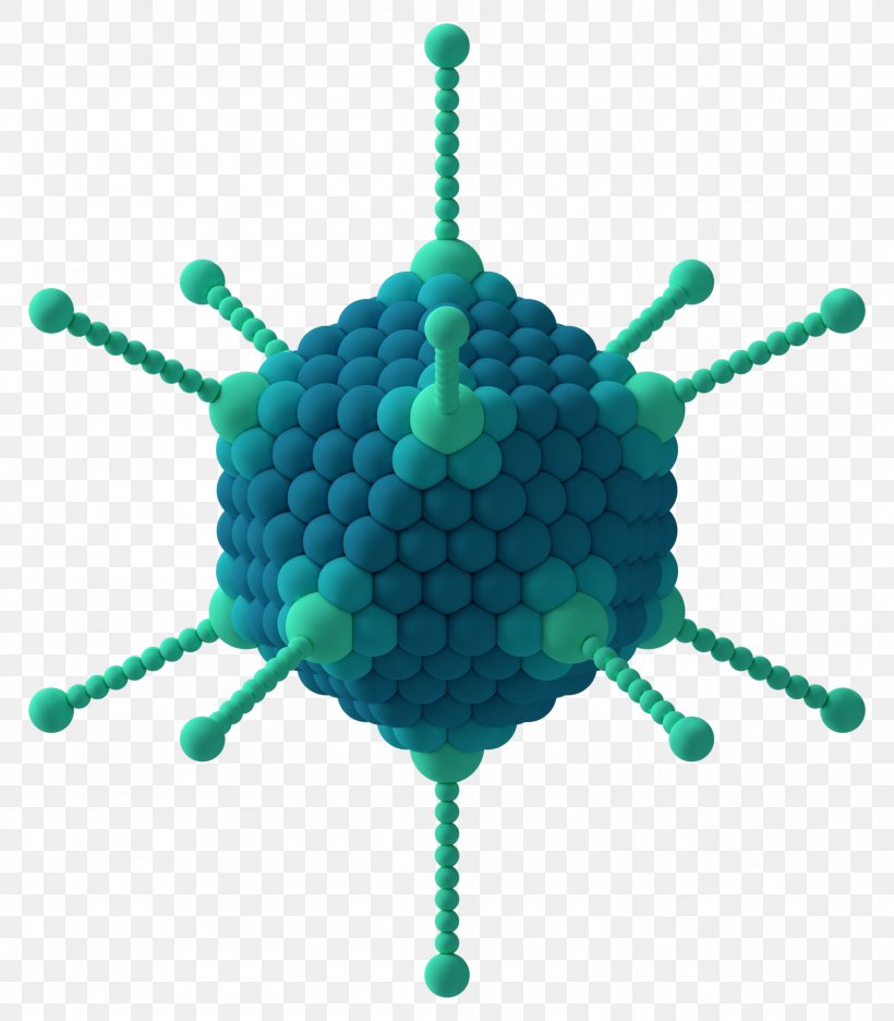 Virus Capsid Icosahedron Adenoviridae Capsomere, PNG, 1512x1726px, Virus, Adenoviridae, Aqua, Capsid, Capsomere Download Free