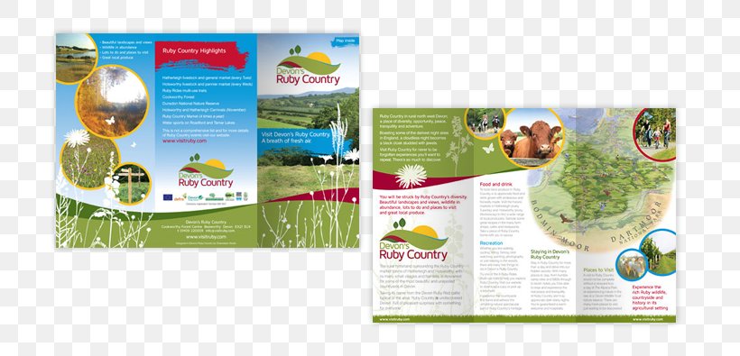 Brochure Brand, PNG, 710x395px, Brochure, Advertising, Brand, Grass Download Free